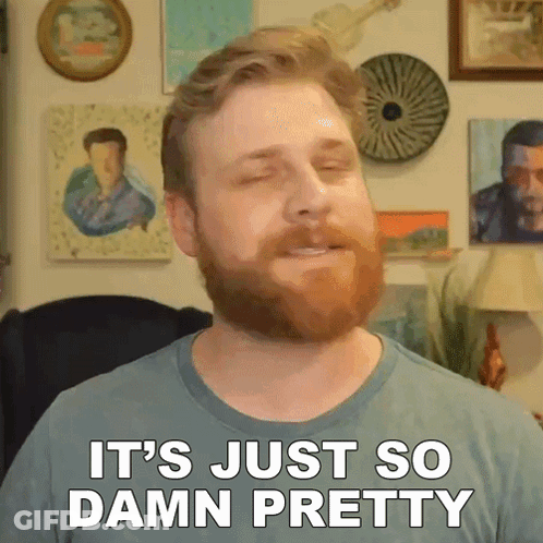 Man With Beard Saying It's Pretty GIF