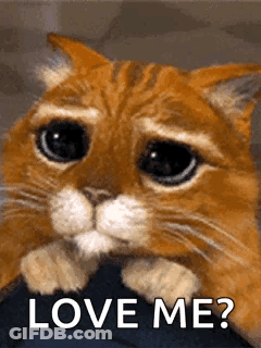 Man With Beard Saying Knock Knock GIF