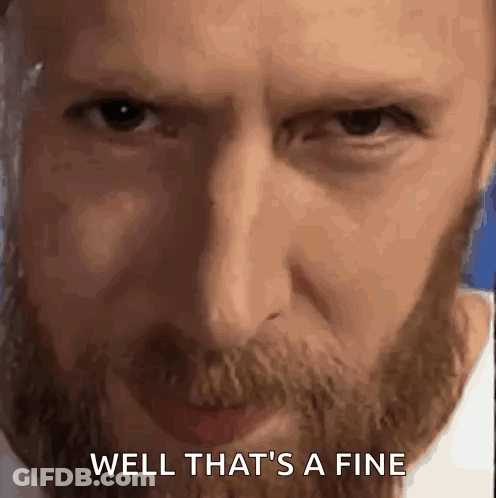Man With Beard Saying Well That's A Fine GIF