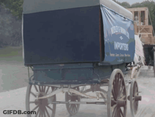 Man With Beard Saying You Got No Chance GIF