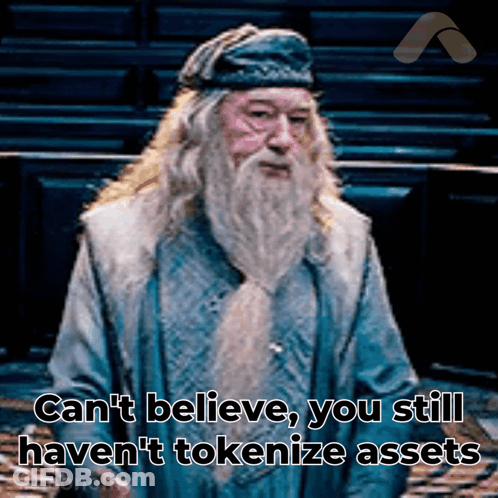 Man With Beard Says Can't Believe You Still Haven't Tokenize Assets GIF