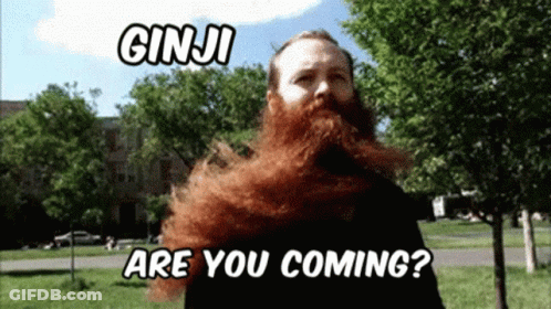 Man With Beard Says Ginji Are You Coming GIF