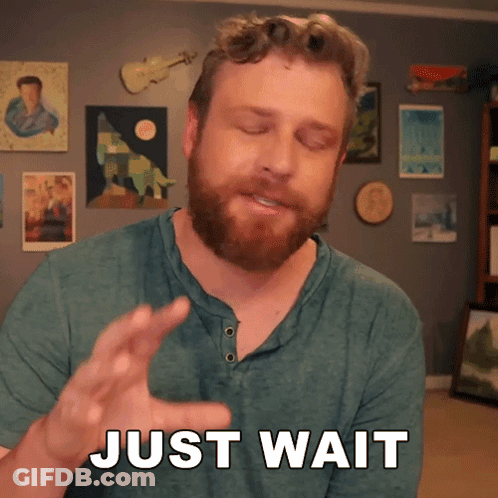 Man With Beard Says Just Wait GIF