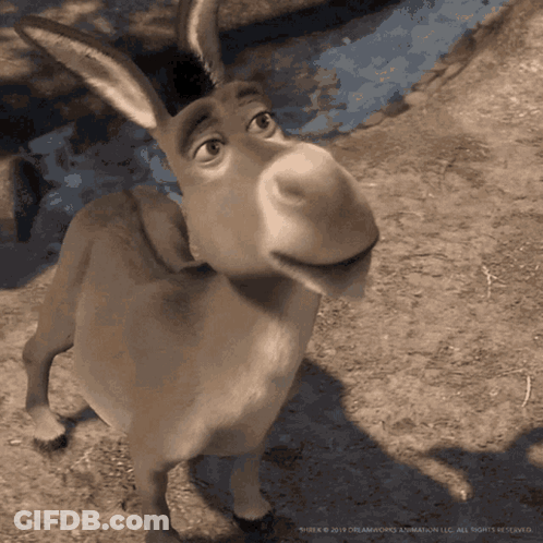 Man With Beard Smiling And Laughing GIF