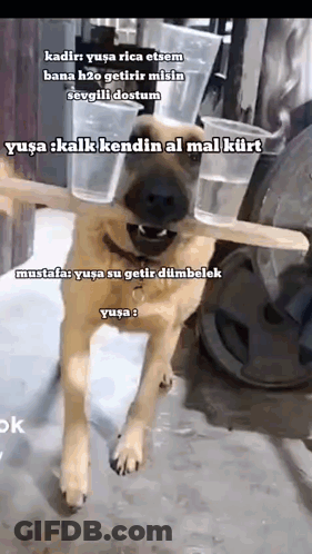 Man With Beard Smiling Saying What's Your Name GIF