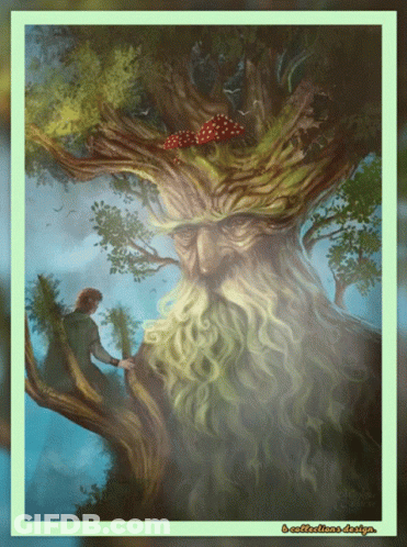 Man With Beard Standing Next To Tree GIF