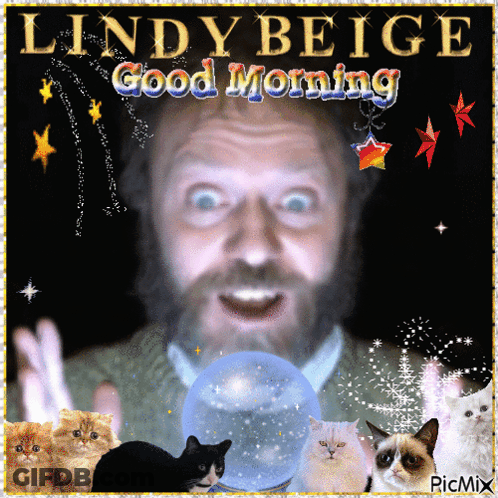 Man With Beard Surrounded By Grumpy Cats Says Good Morning Lindy Beige GIF