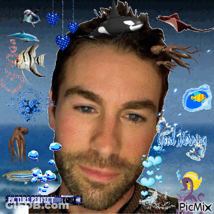 Man With Beard Surrounded By Sea Creatures GIF