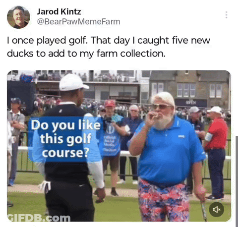 Man With Beard Talking On Golf Course GIF