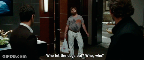 Man With Beard Talking To Another Man GIF