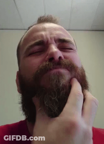 Man With Beard Touching Face GIF