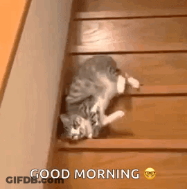 Man With Beard Touching Forehead GIF
