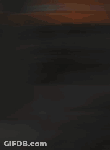 Man With Beard Wearing Calvin Klein Hat GIF