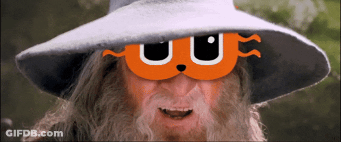 Man With Beard Wearing Hat And Cat Face Mask GIF
