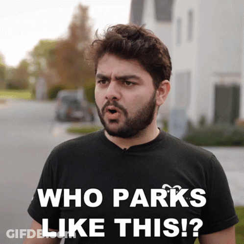 Man With Beard Wearing Who Parks Like This Shirt GIF