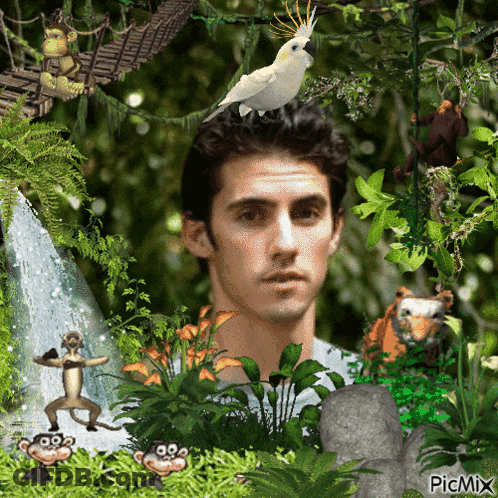 Man With Bird On Head Among Jungle Animals And Waterfall GIF