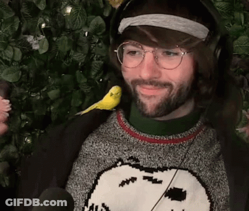 Man With Bird On Shoulder In Sweater Headphones GIF