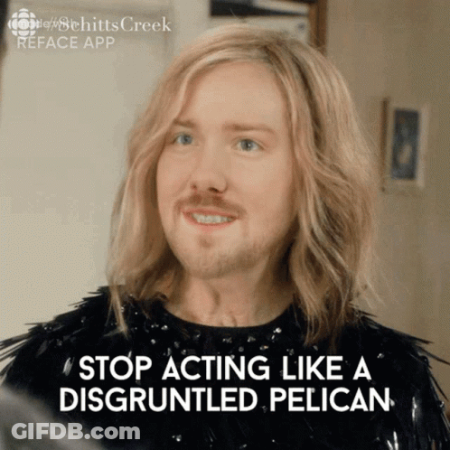 Man With Blonde Hair And Beard Says Stop Acting Like A Disgruntled Pelican GIF