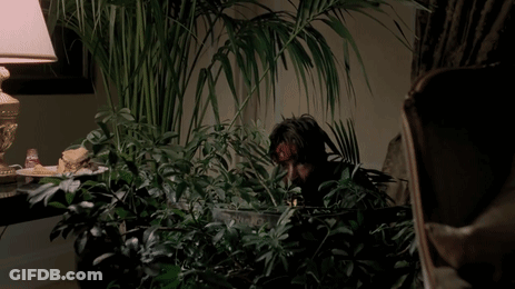 Man With Bloody Head Surrounded By Plants And Lamp GIF