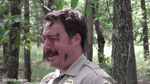 Man With Bugs On Face And Ranger Badge GIF