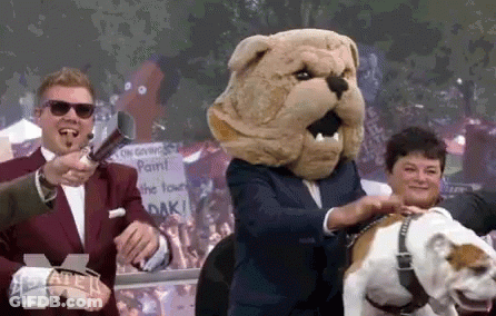 Man With Bulldog Mascot On Head And Dog GIF