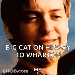 Man With Caption Big Cat On His Way To Wharton GIF