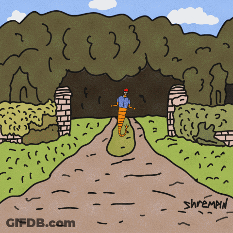 Man With Carrot On Head Shremin GIF