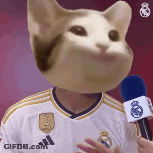 Man With Cat Head Holding Microphone In FIFA Shirt GIF