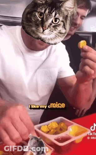 Man With Cat Head Says I Like My Cmice GIF