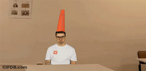 Man With Cone Pointing To Burro GIF