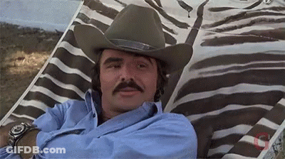 Man With Cowboy Hat And Mustache In Zebra Print Chair GIF