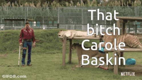 Man With Crutches Tigers That Bitch Carole Baskin GIF