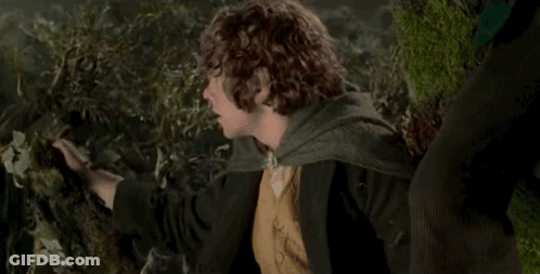 Man With Curly Hair In Green Cape Standing In Forest GIF