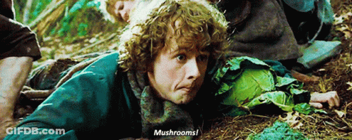 Man With Curly Hair Laying In Woods Saying Mushrooms GIF