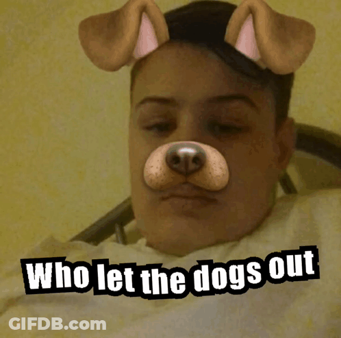 Man With Dog Mask And Who Let The Dogs Out GIF