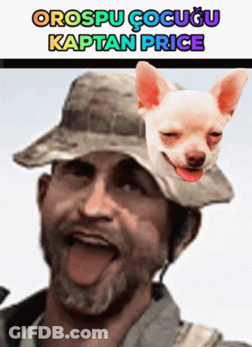 Man With Dog On Head Saying Orospu Cocugu Kaptan Price GIF