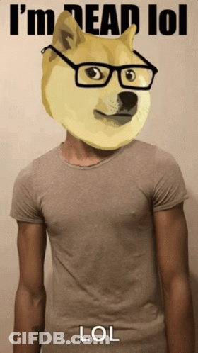 Man With Doge Head And Glasses Lol GIF