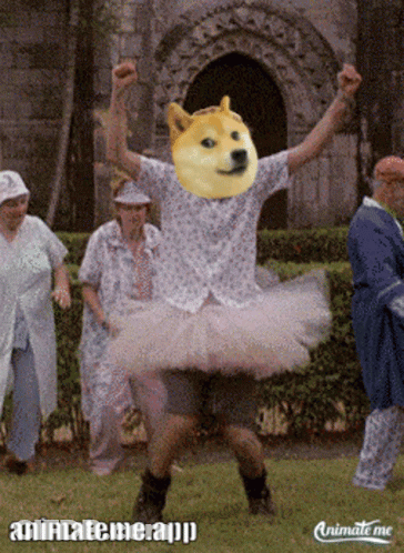 Man With Doge Head Wearing Tutu And Dancing GIF