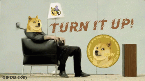 Man With Doge On Head Turn It Up GIF