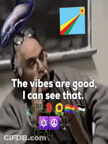 Man With Dolphin On Head Saying The Vibes Are Good I Can See That GIF