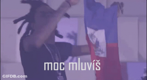 Man With Dreadlocks And Flag GIF