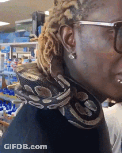 Man With Dreadlocks Holding Snake Around Neck GIF