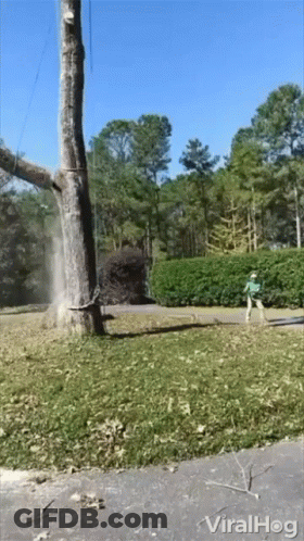 Man With Dreadlocks Wearing Don't Freeze Shirt GIF