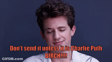 Man With Eyes Closed Saying Don't Send It Unless Charlie Puth Birch GIF