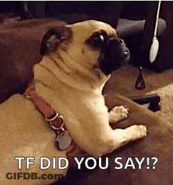 Man With Eyes Closed Saying You Say What GIF