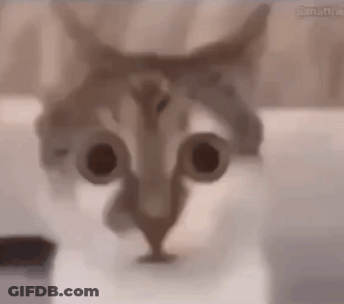 Man With Eyes Closed Stfu Jean GIF
