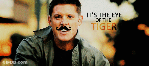 Man With Fake Mustache Saying It's The Eye Of The Tiger GIF