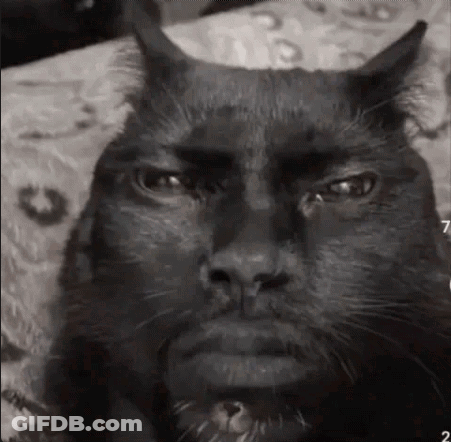 Man With False Eyelashes My Honest Reaction GIF