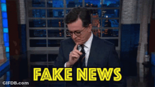 Man With Finger To Chin Saying Fake News GIF