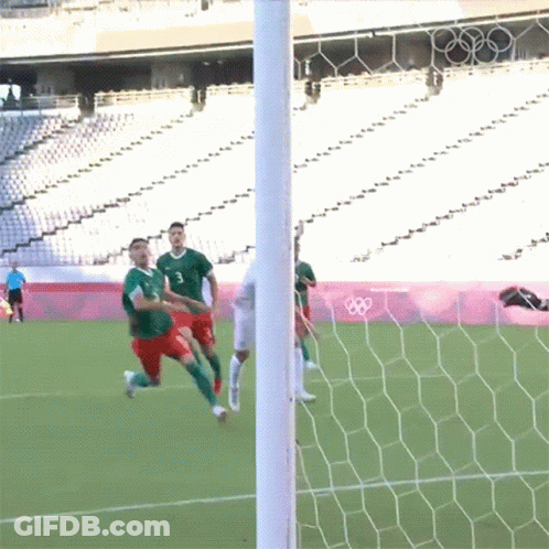 Man With Flag On Face And France Fans Text GIF